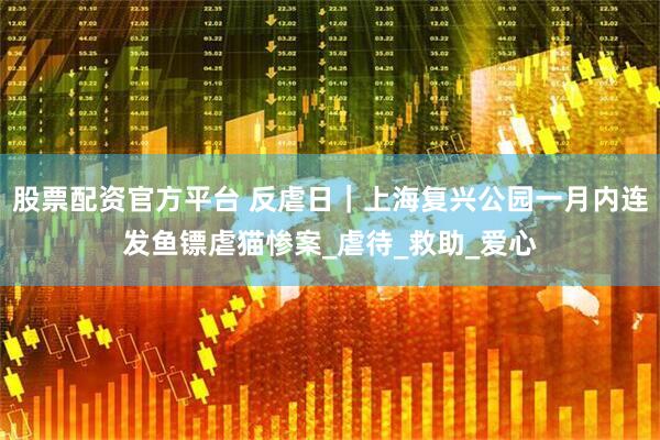 股票配资官方平台 反虐日｜上海复兴公园一月内连发鱼镖虐猫惨案_虐待_救助_爱心